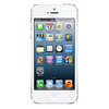 Apple iPhone 5 16Gb white - Шарья